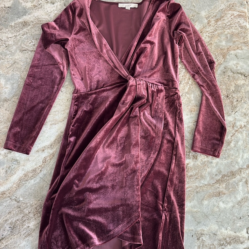 Loft long sleeved velvet knee length dress